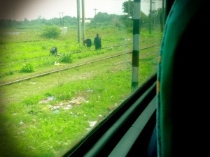 Train Travel in India
