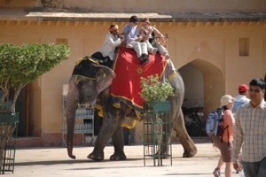 Jaipur Adventures:  Amber Fort