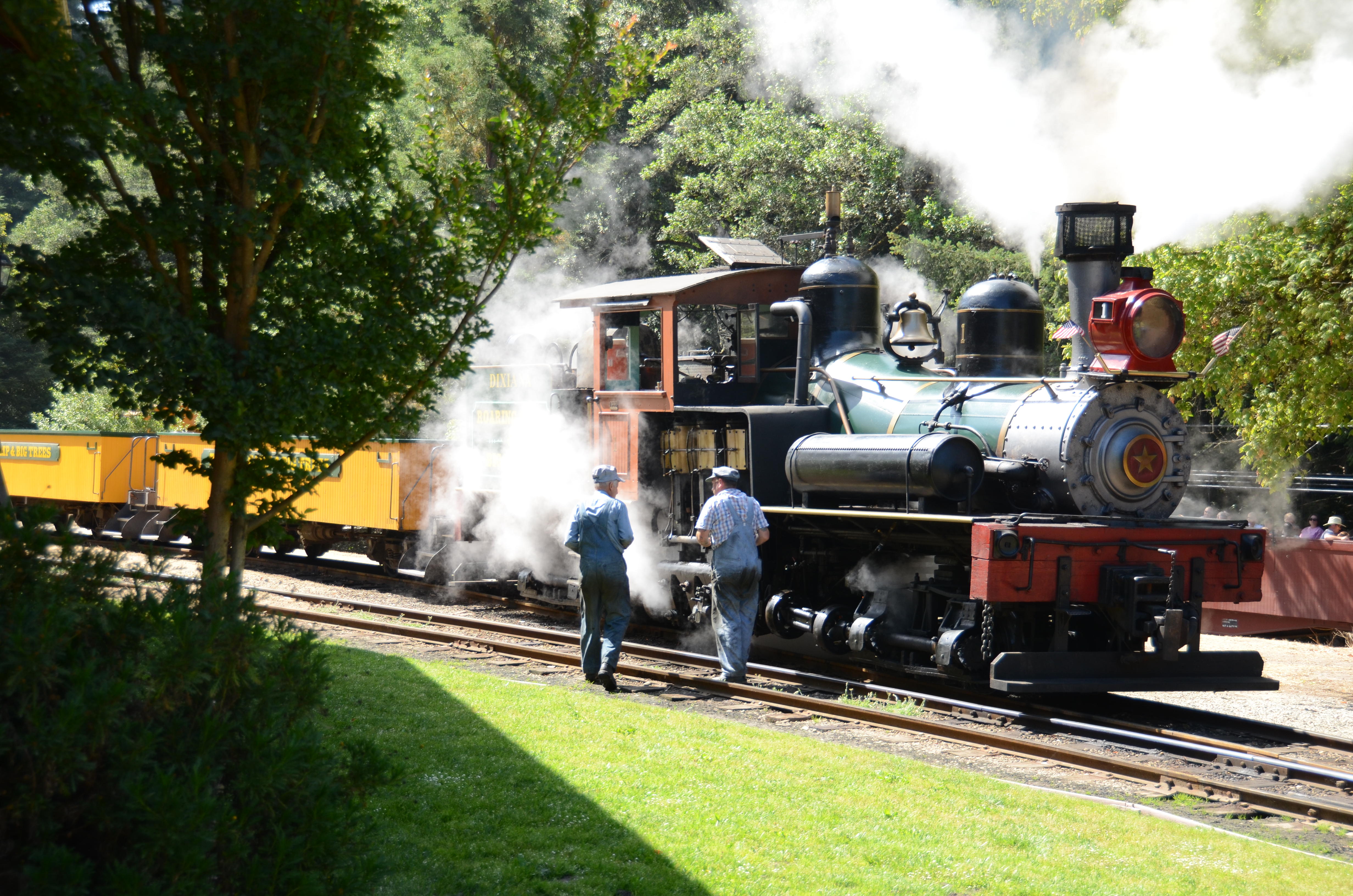 Old Time Steam Trains