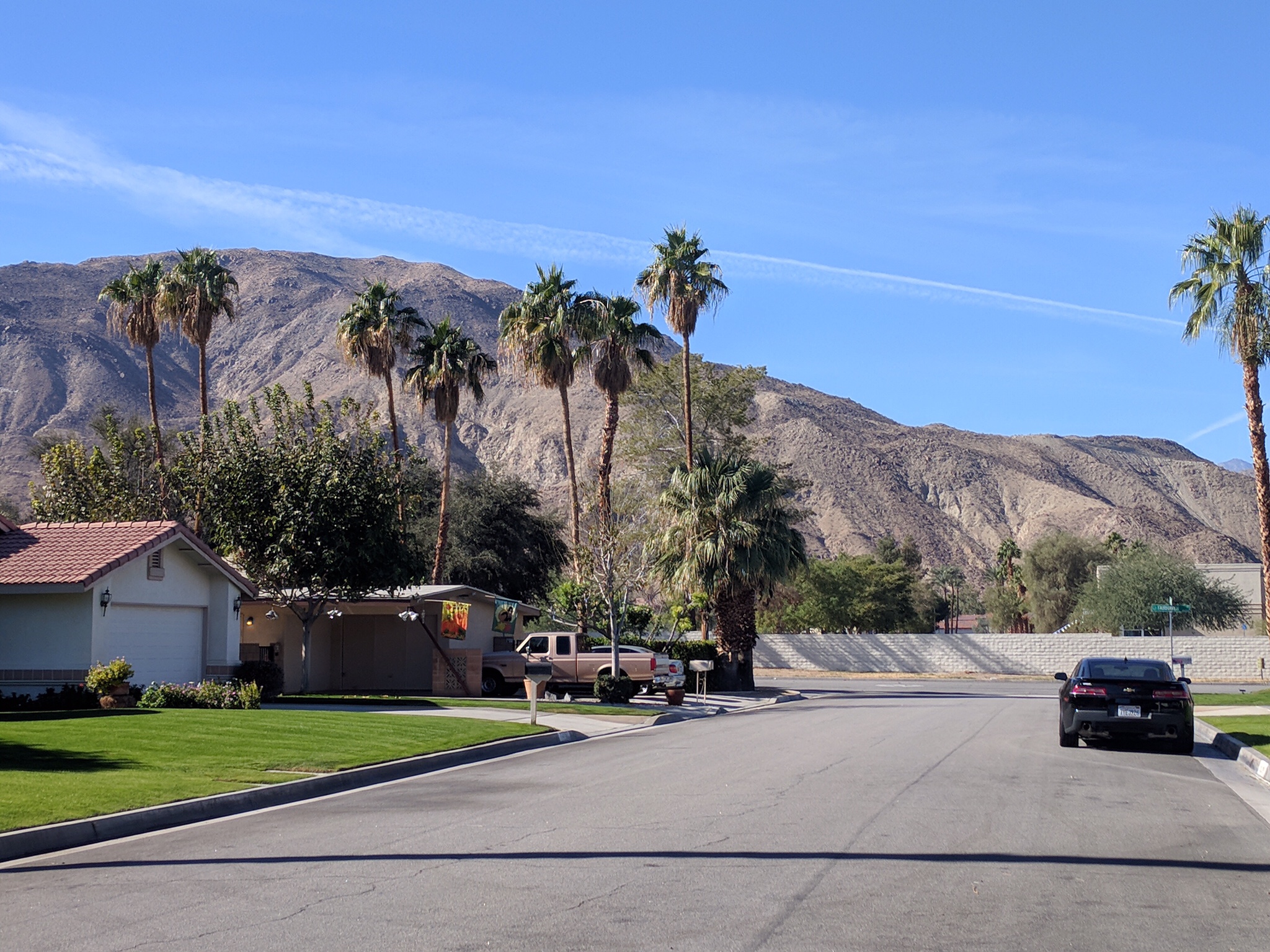 Thanksgiving in the Desert