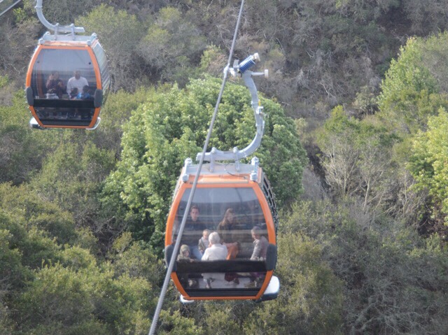 When you feel on top of the world – Gondolas at the Oakland Zoo