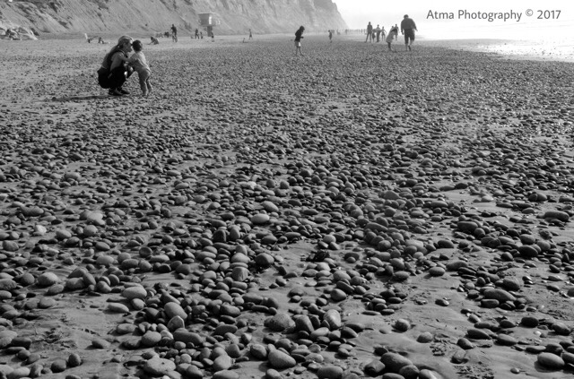 Weathered – Black and Whites from Torrey Pines
