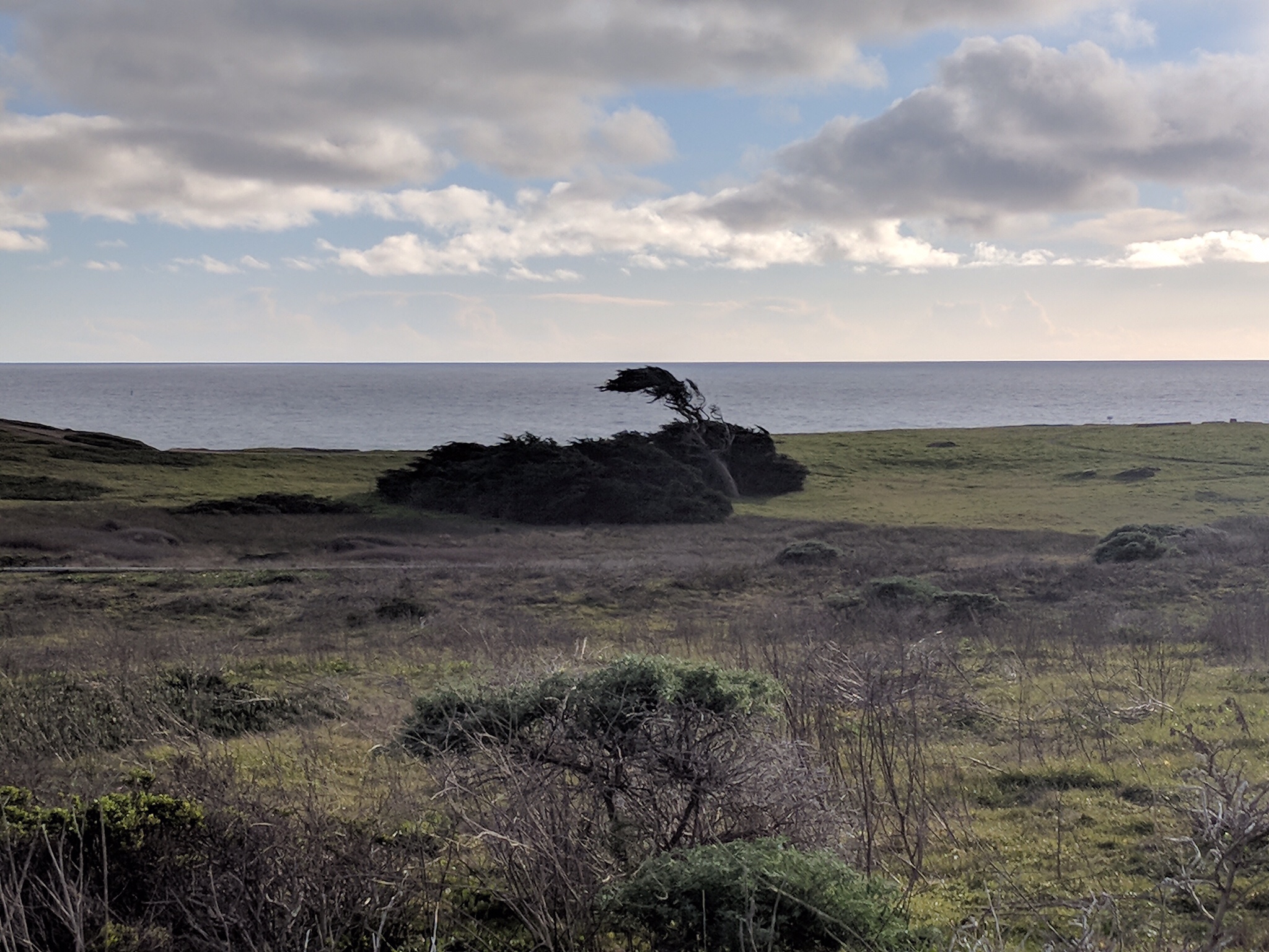 Bodega Bay Geocaching Adventure