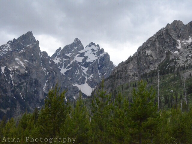 The Beauty of Jenny Lake