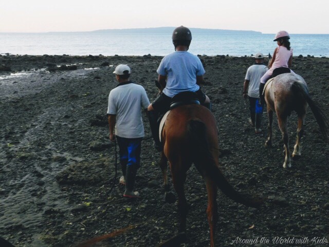 Riding into the Sunset – Horseback Riding at the Menjangan
