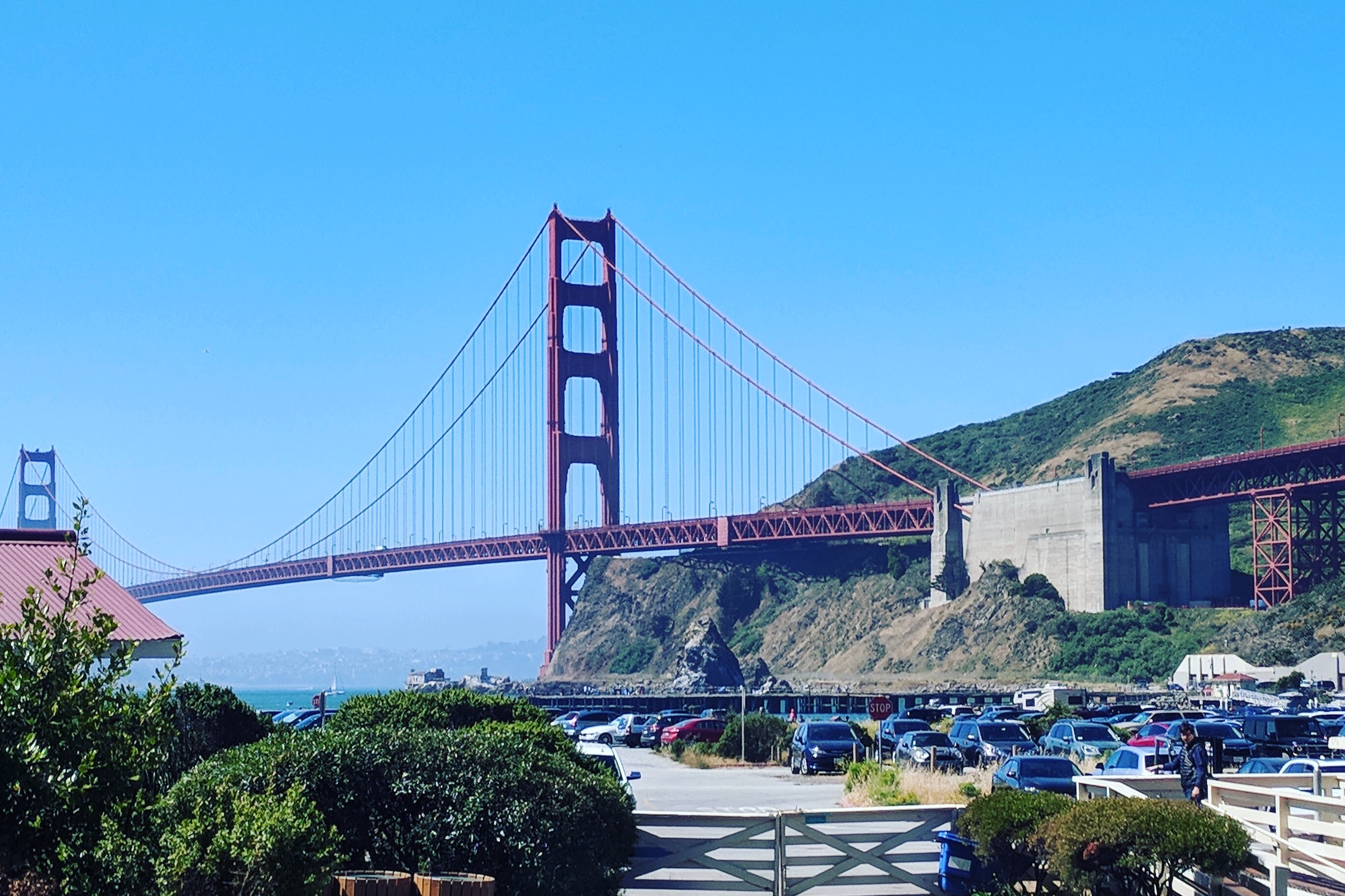 Coronavirus Staycation:  Things to do in the San Francisco Bay Area