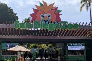 First-Timers Guide to the San Diego Zoo