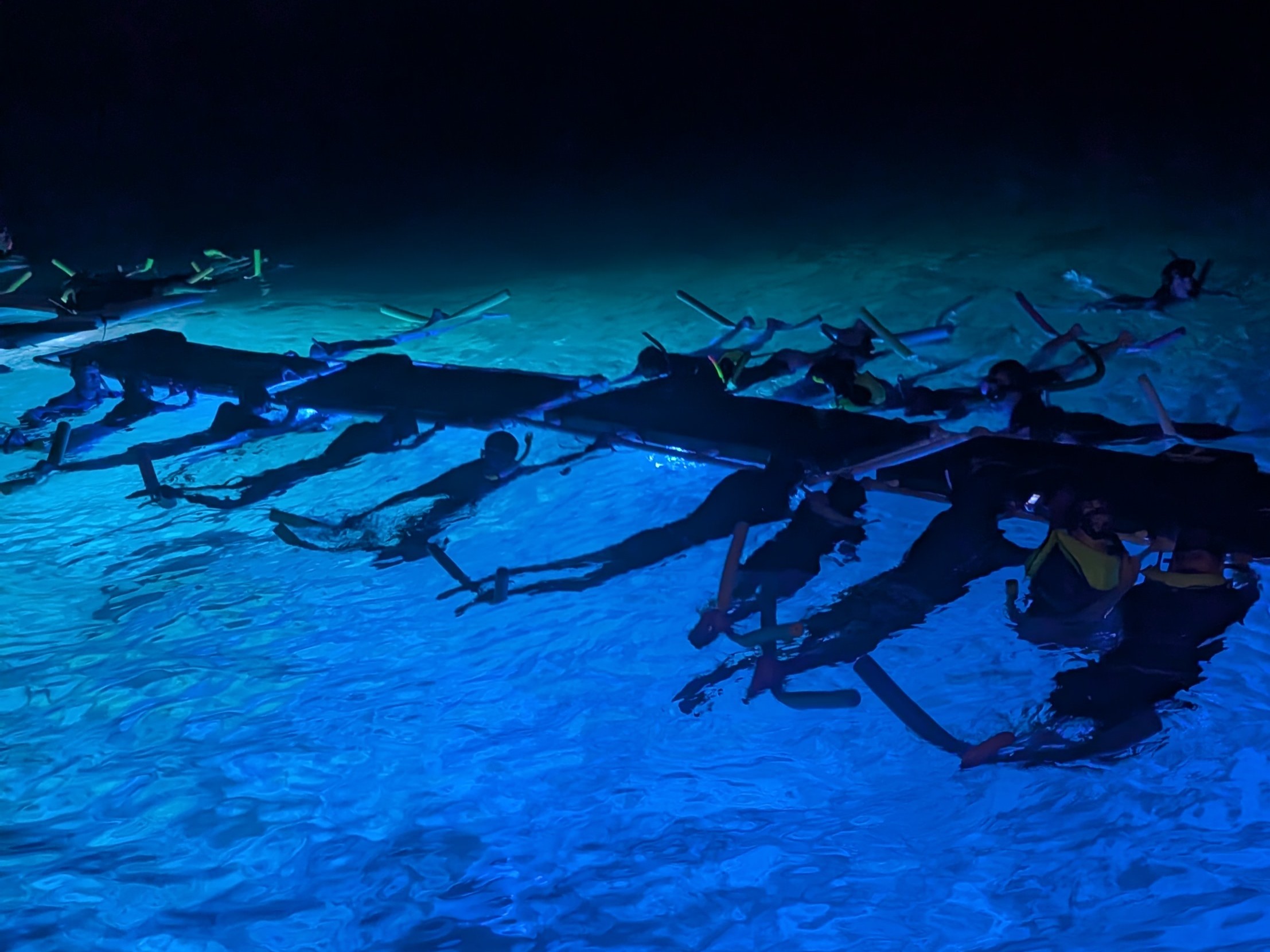 Gentle Giants: Swimming with the Manta Rays
