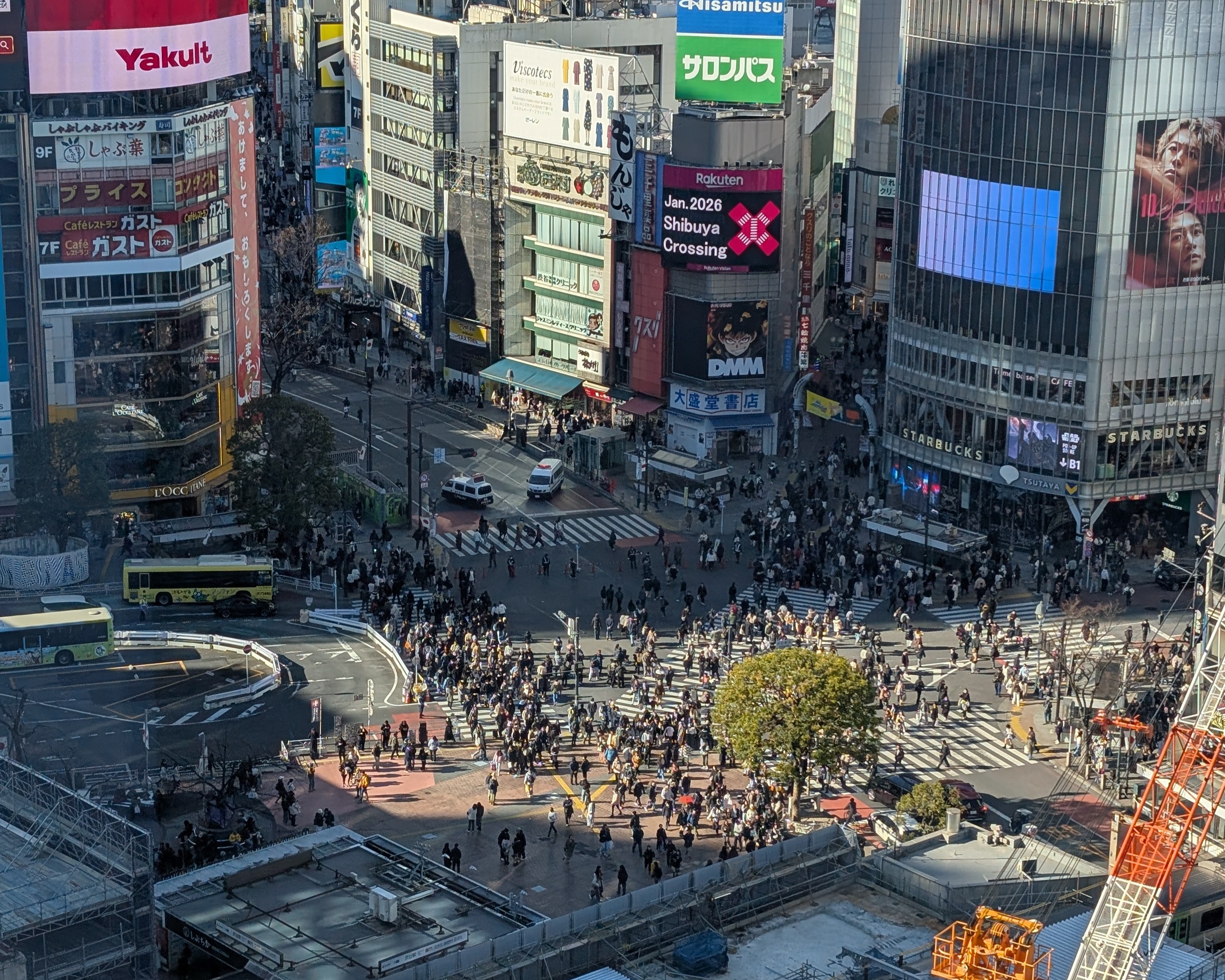 Sushi, Shrines, and the Shibuya Shuffle: Our Epic Tokyo Layover Guide