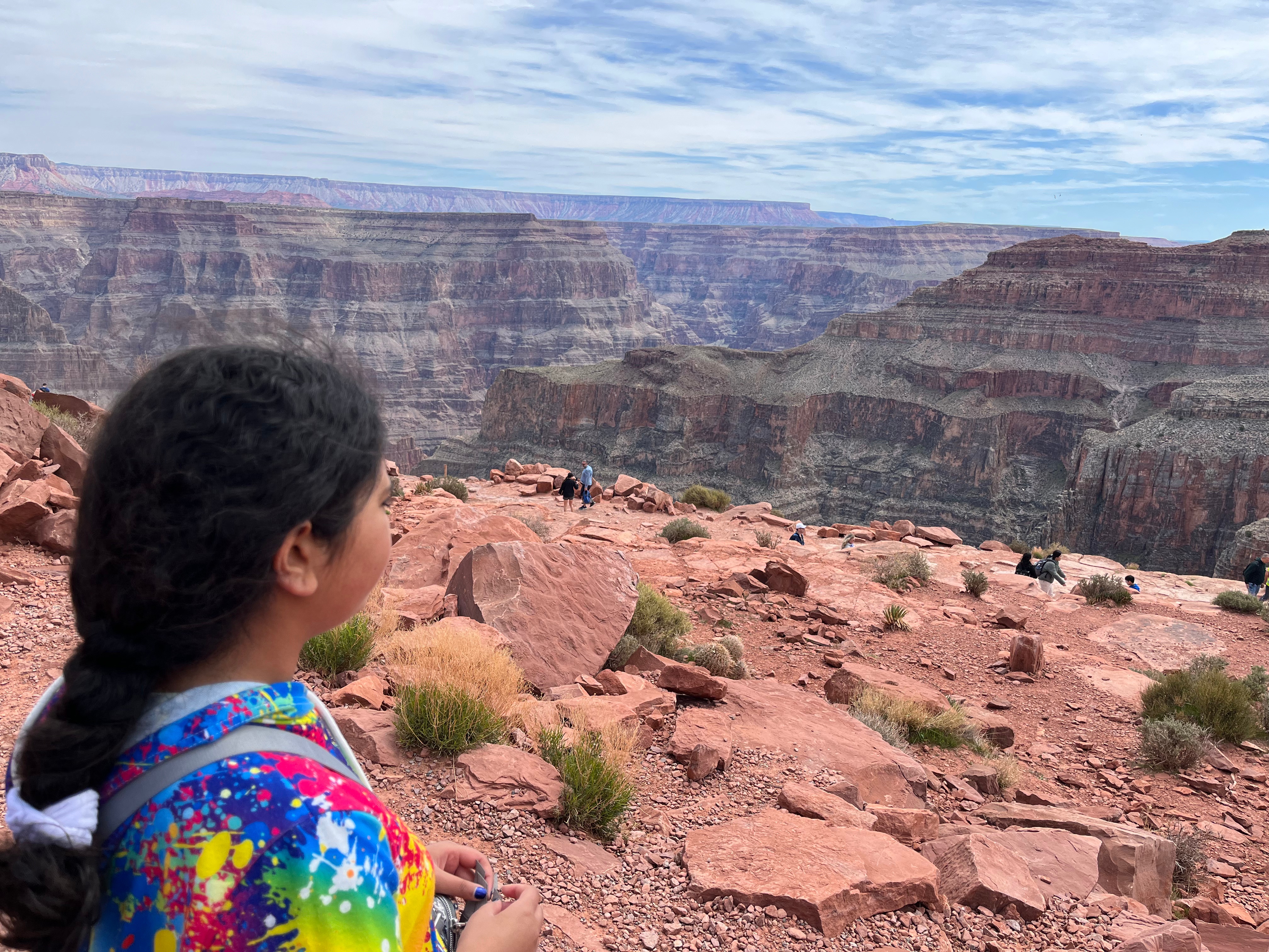 From the Strip to the Skywalk: Taking the Teens to Grand Canyon West from Las Vegas